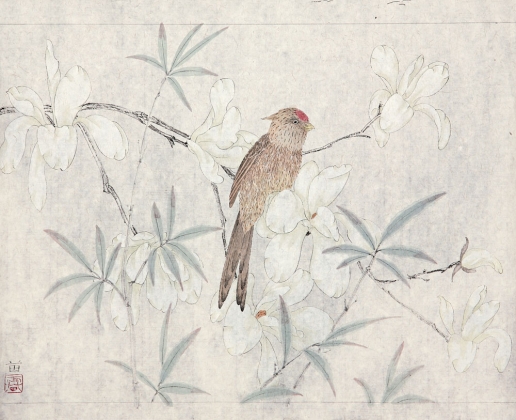 工筆花鳥(niǎo)